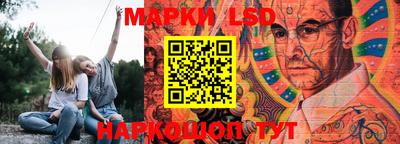 индика Вышний Волочёк