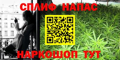 индика Вышний Волочёк