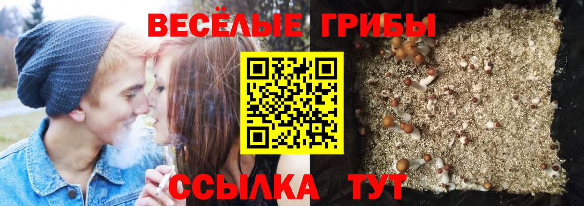 Гусиноозёрск  Галлюциногенные грибы мицелий  Вход с VPN 