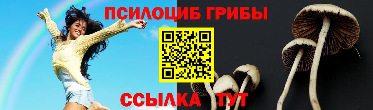 Галлюциногенные грибы MAGIC MUSHROOMS Гусиноозёрск